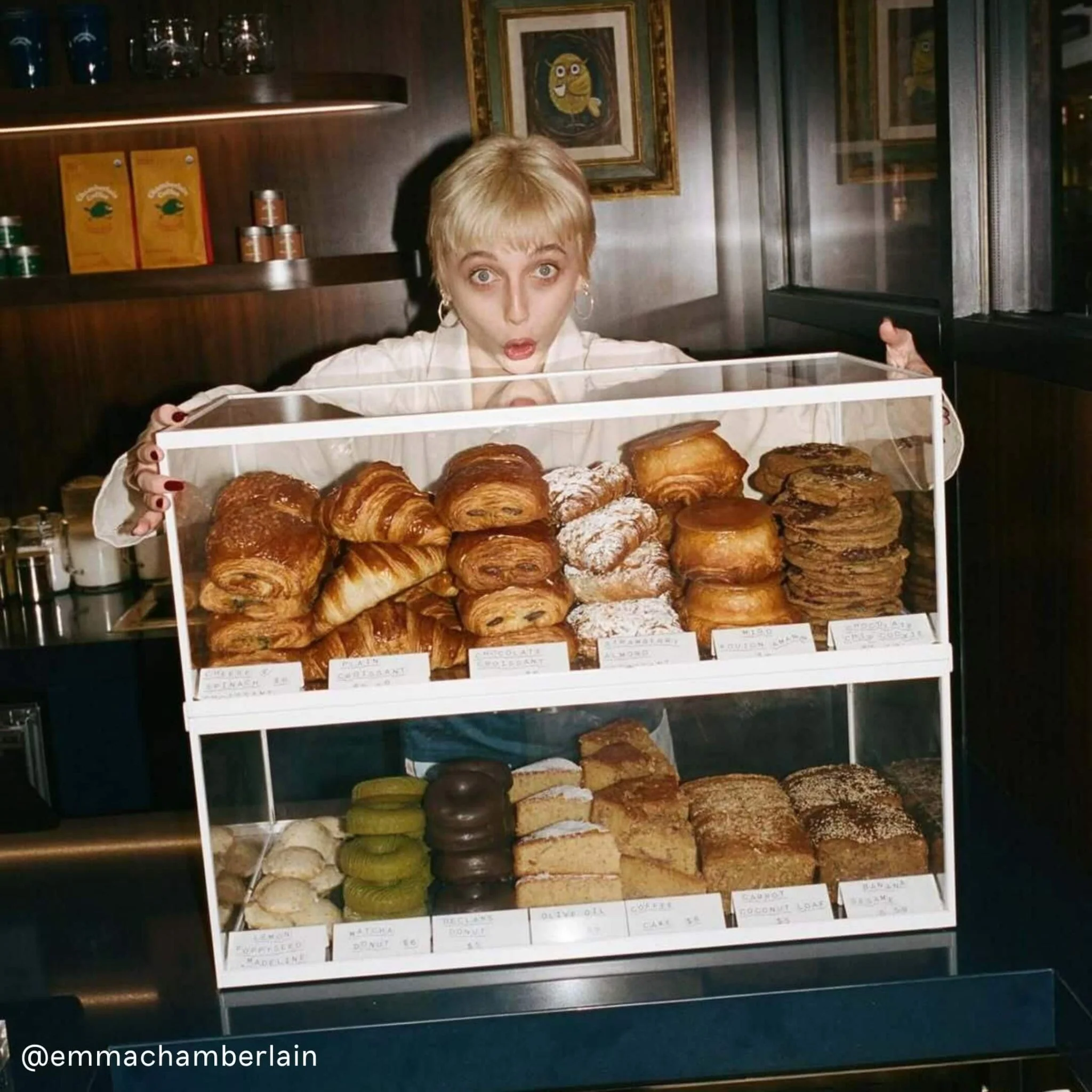 Bakery Display Case - Image 7