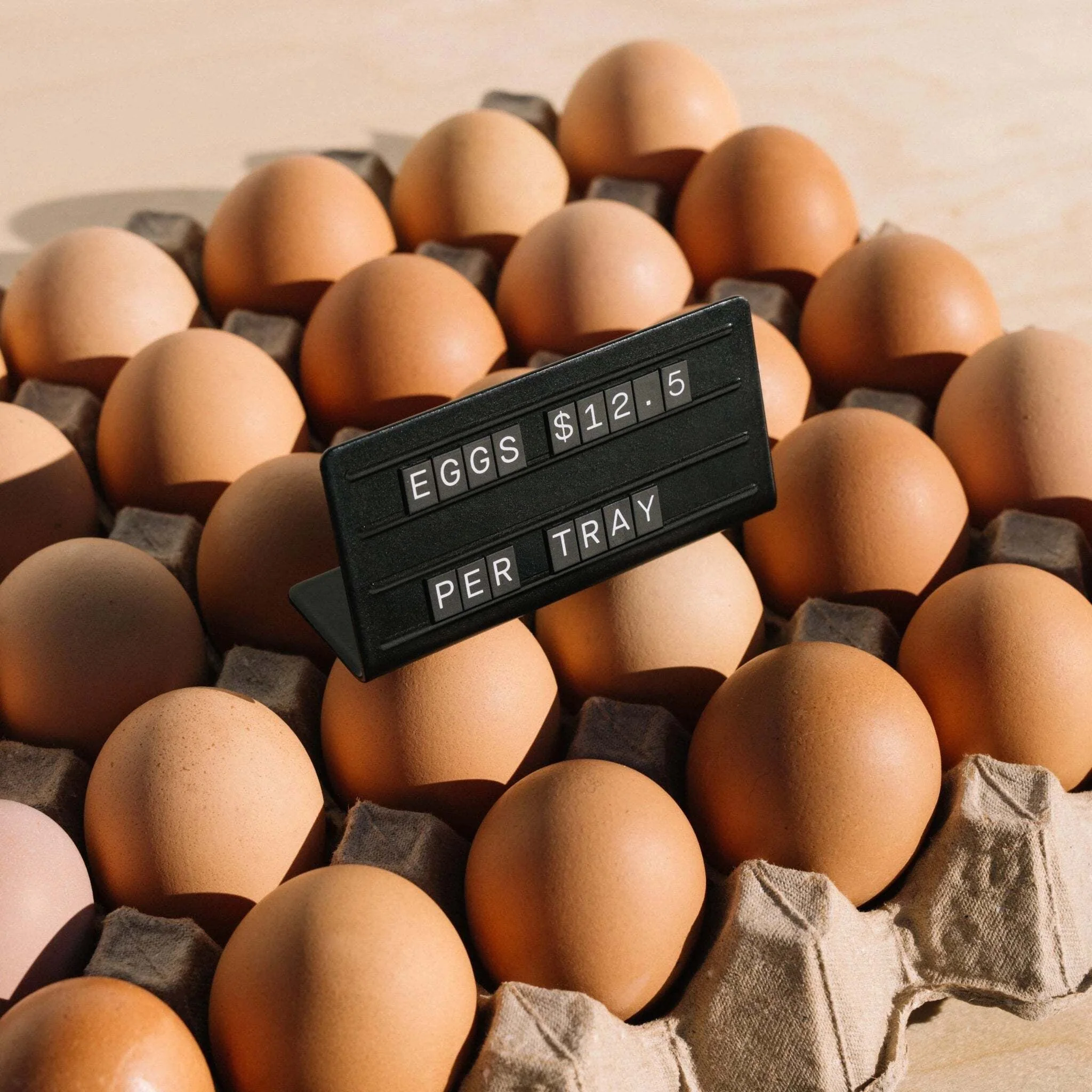 Counter Signs - Set of 12 - Image 9